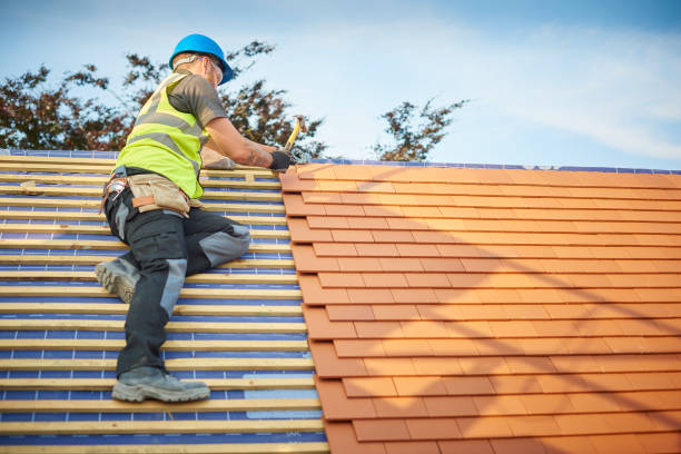 Best Roof Insulation Installation  in Malta, IL